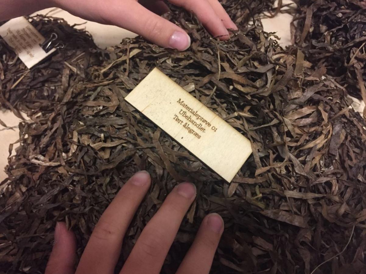 ubehandlet ålegræs