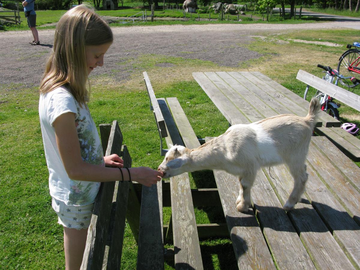 Storhaven gedekid med pige