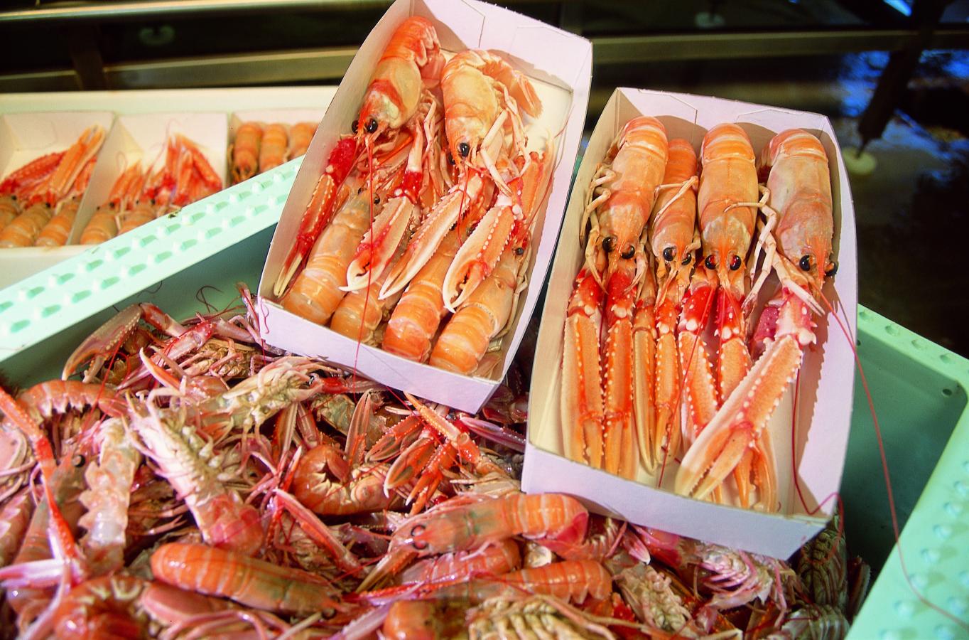 Bakker med jomfruhummere