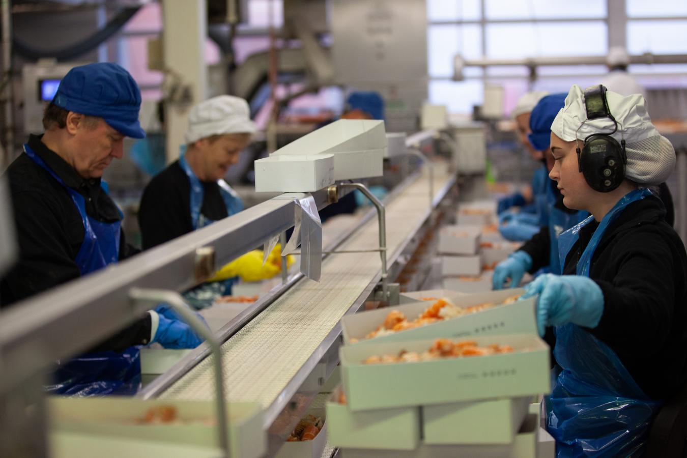 Der pakkes jomfruhummer