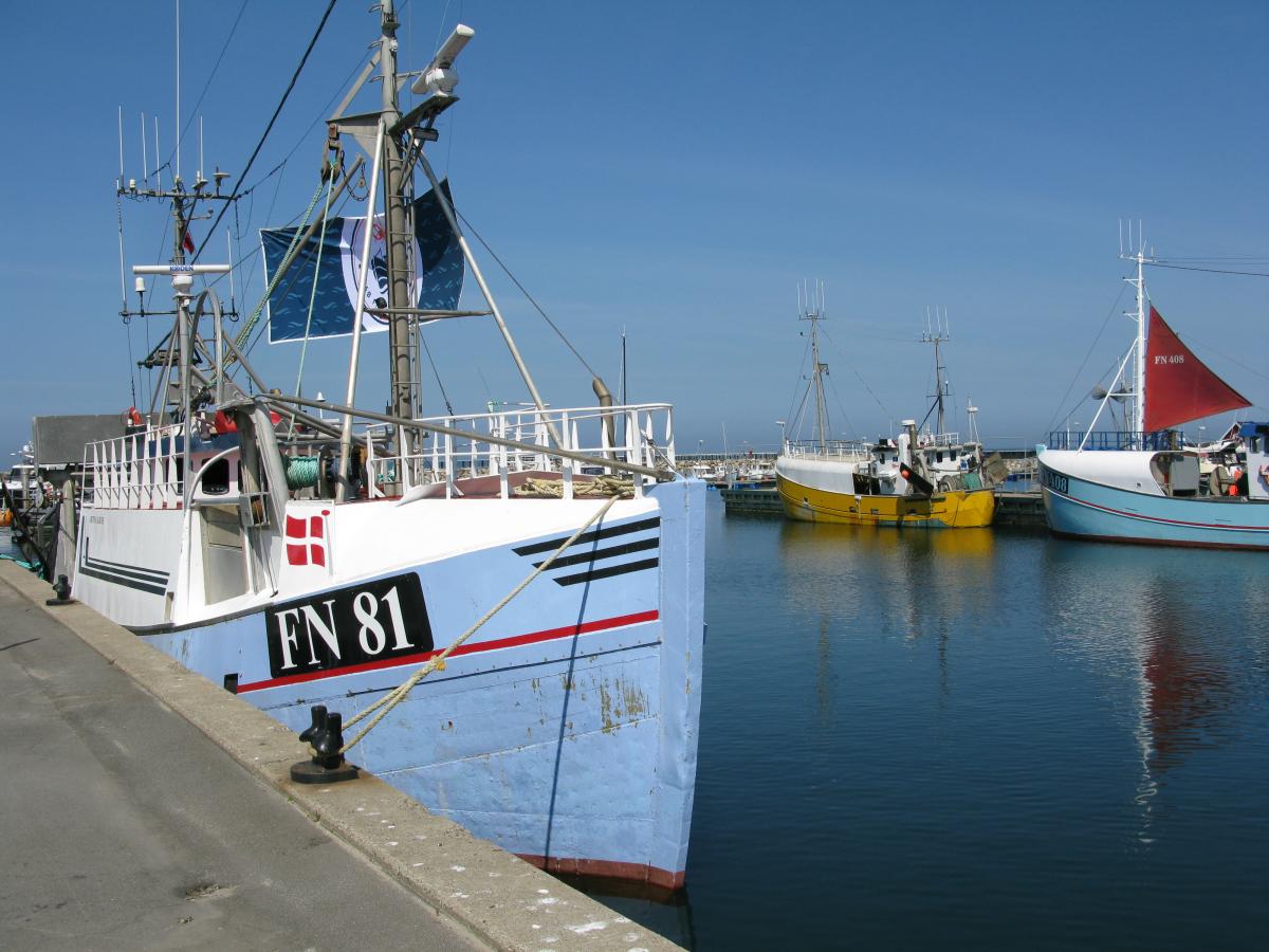 Fiskekutter i Østerby Havn