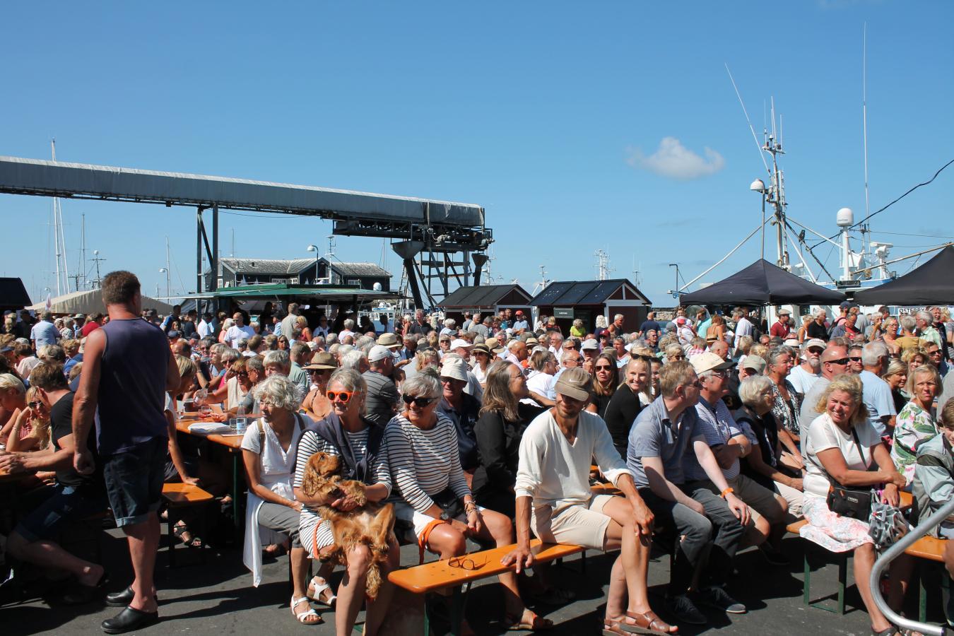 Jomfruhummerfestival