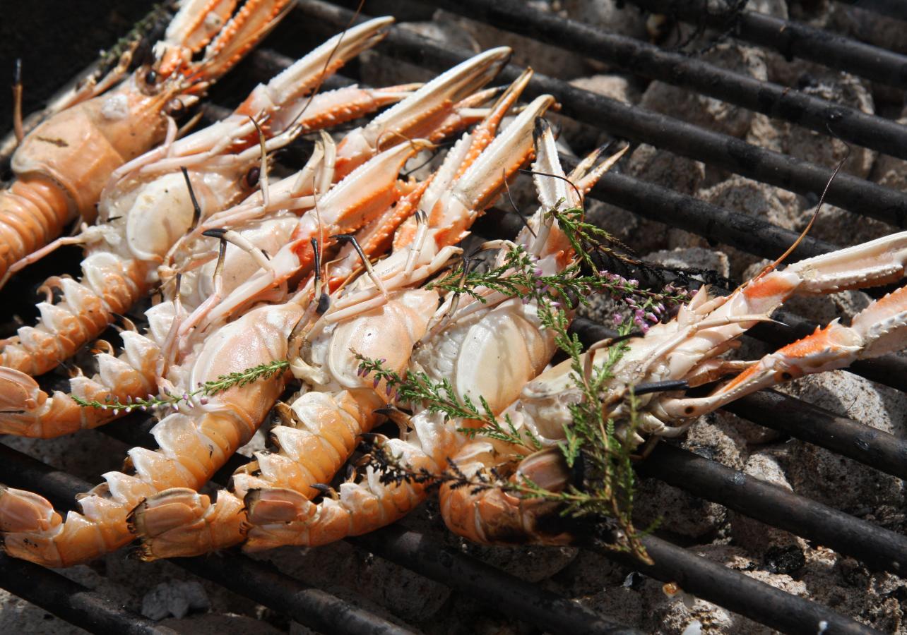 Jomfruhummerfestival