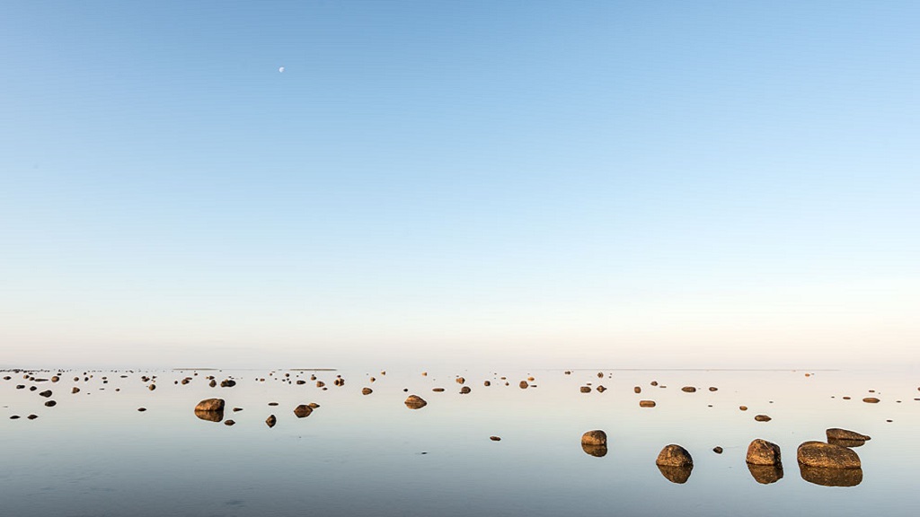 Rønnerne set af Jens H Petersen