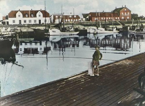 Havnebakken og Carlsens