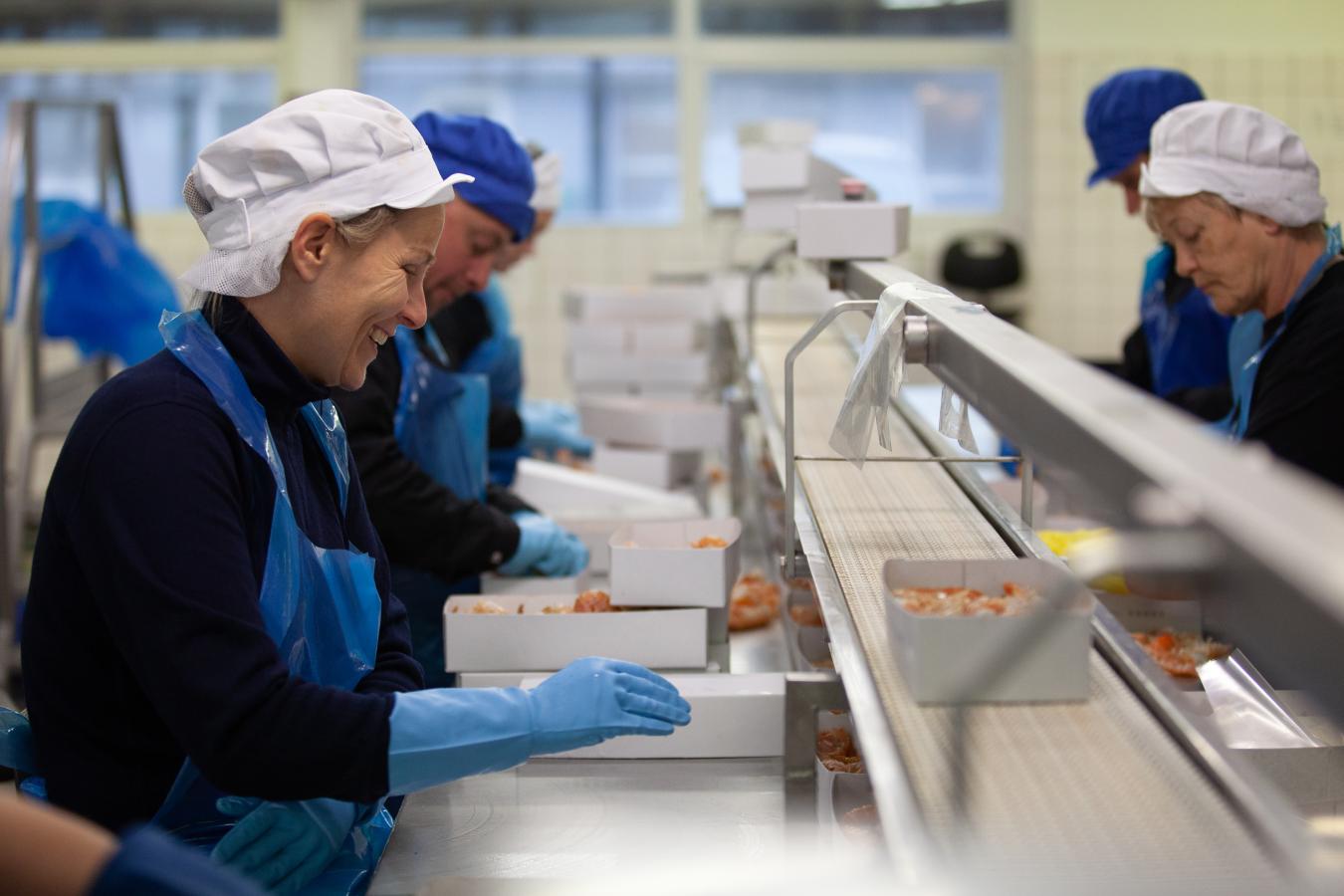 Læsø Fiskeindustri