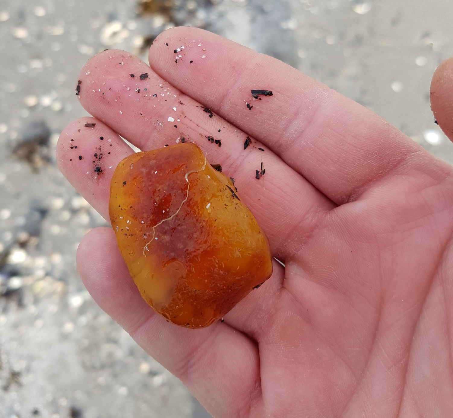 Havfald - sidegevinst 