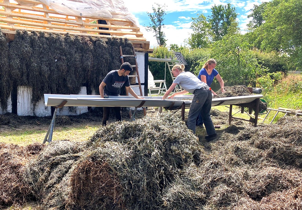 Tanghuse ved Lille Strandgaardsvej 1