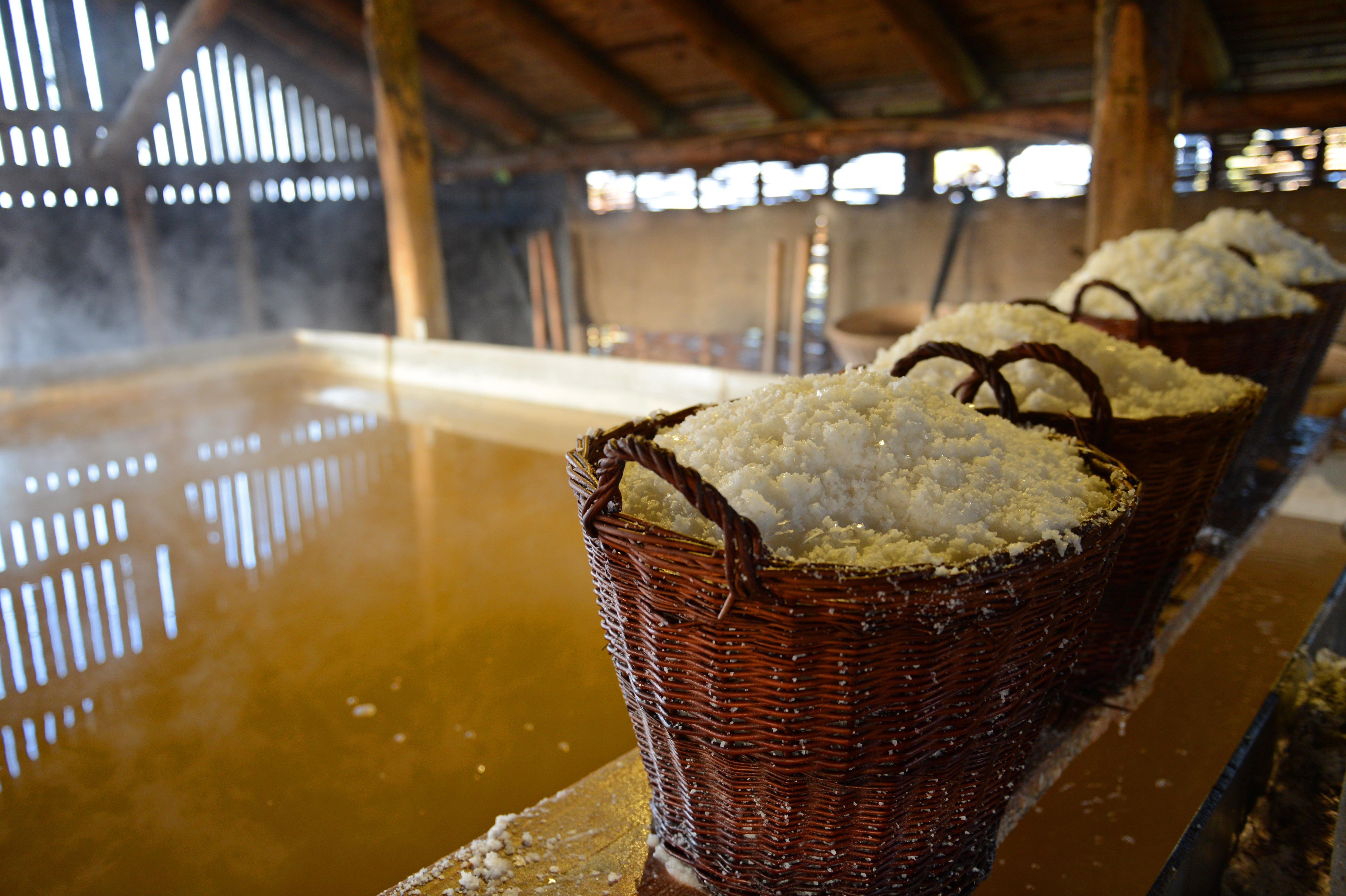 Læsø Salt - saltkurve