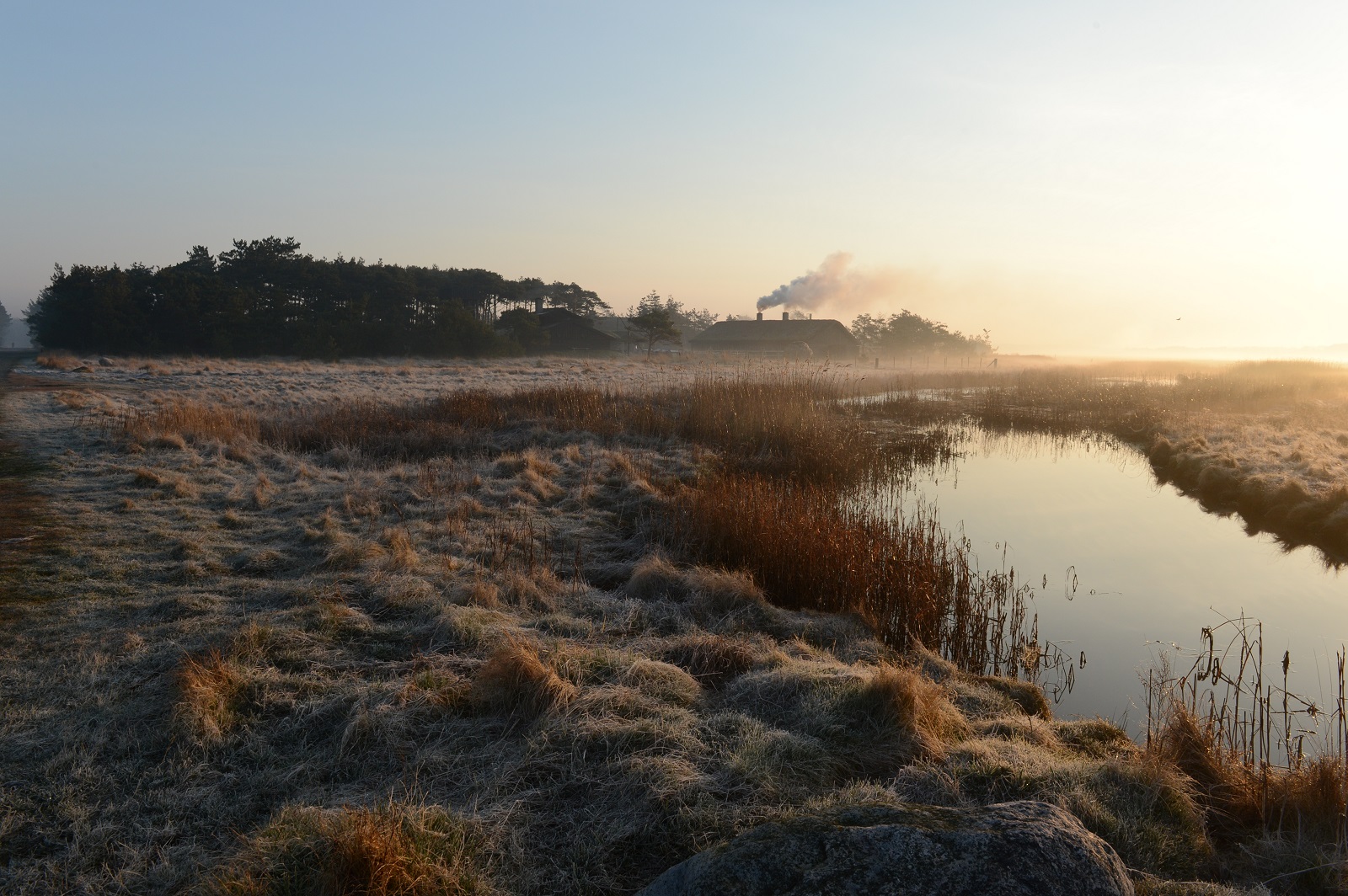 Læsø Saltsyderi i morgendis