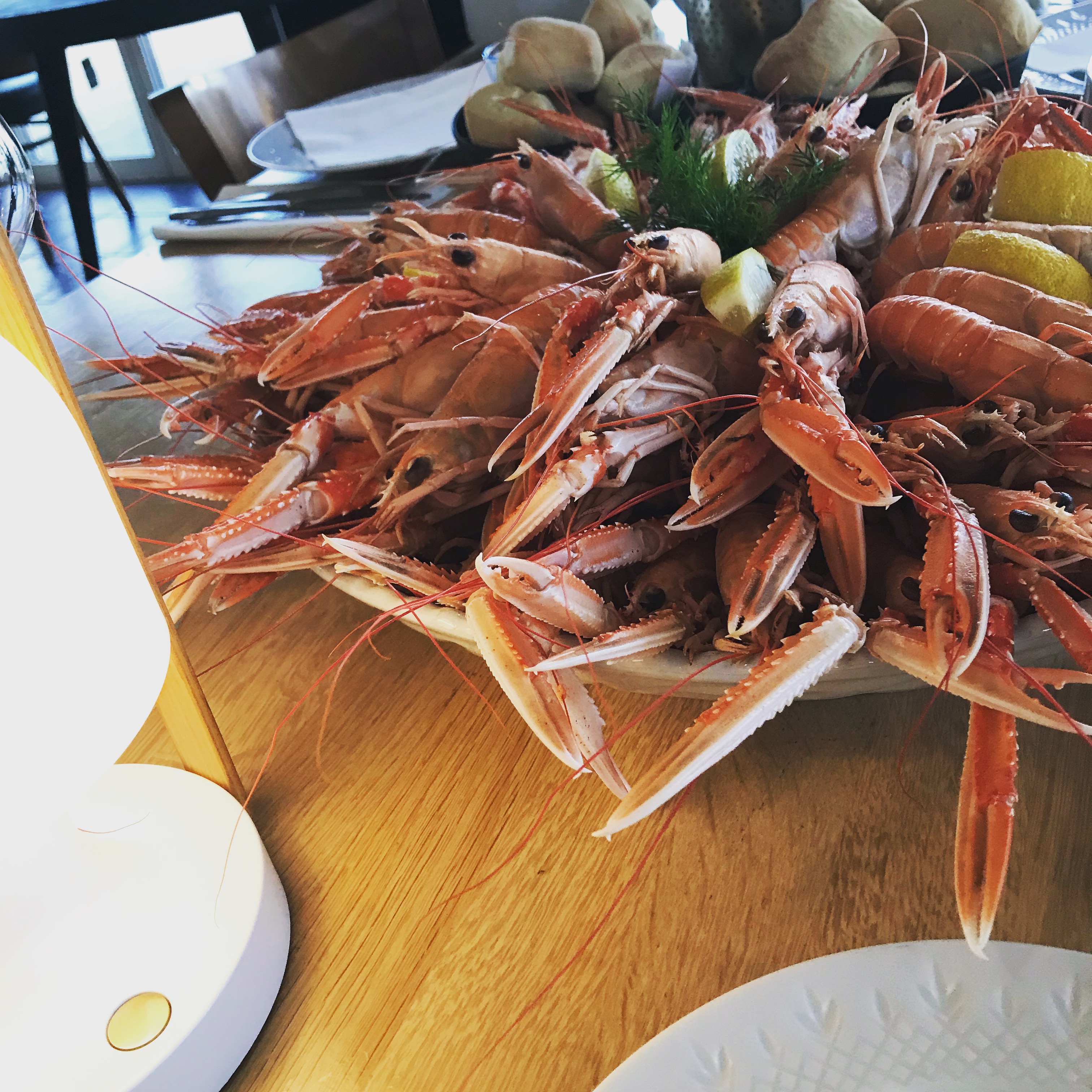 Jomfruhummer spisesteder Palsgaard