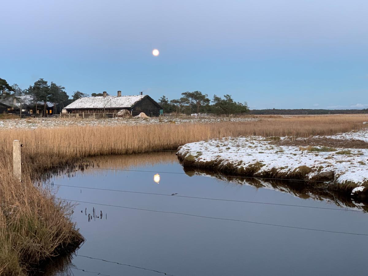 Læsø Saltsyderi tilbyder Julesalt hvert år