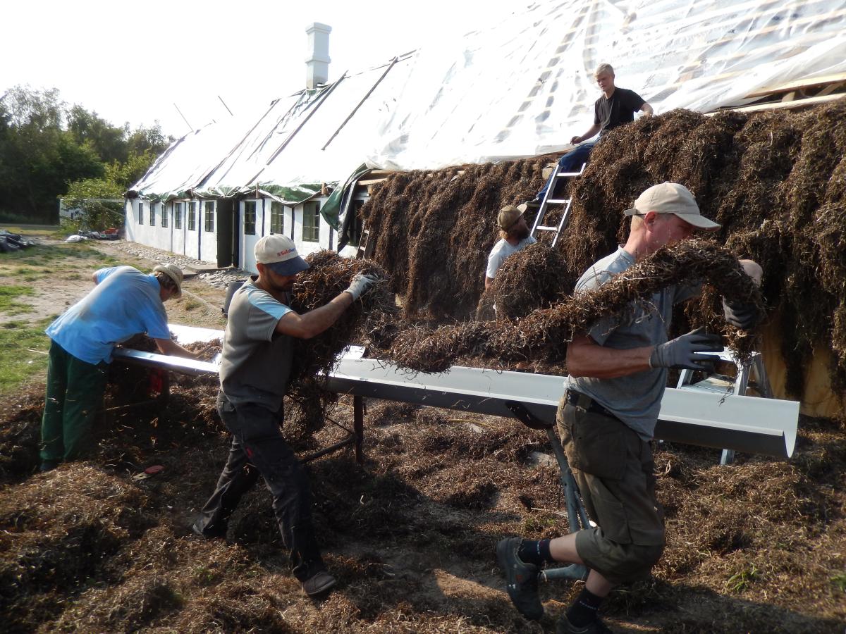 Tanghusprojekt - Uldstuen