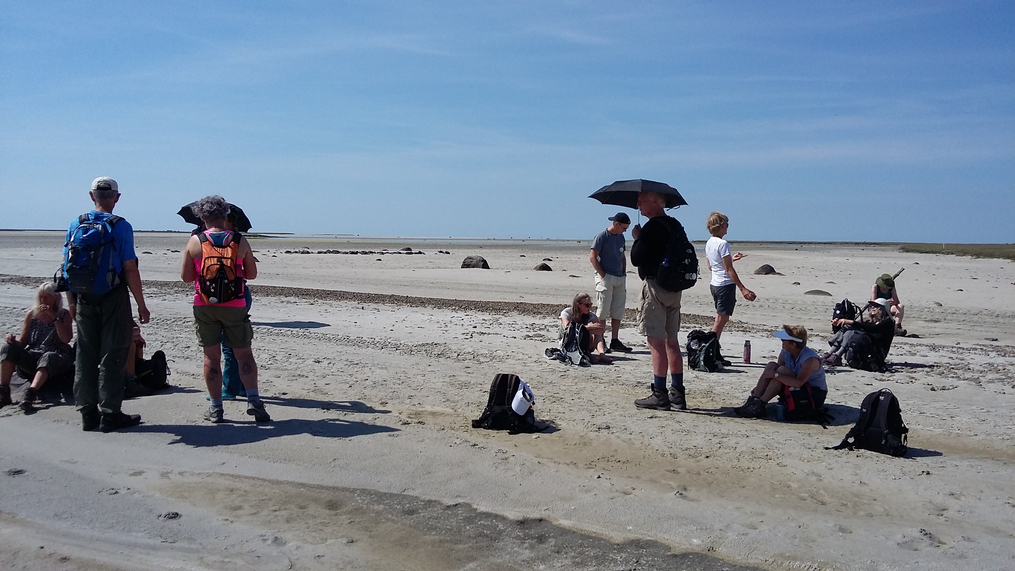 Vandreture på Læsø - Fjæren syd for Læsø