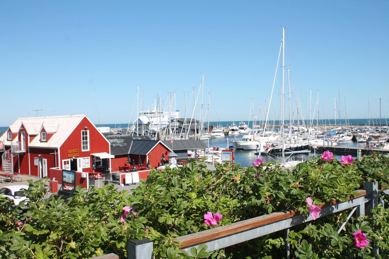 Vesterø Havn m. hyben