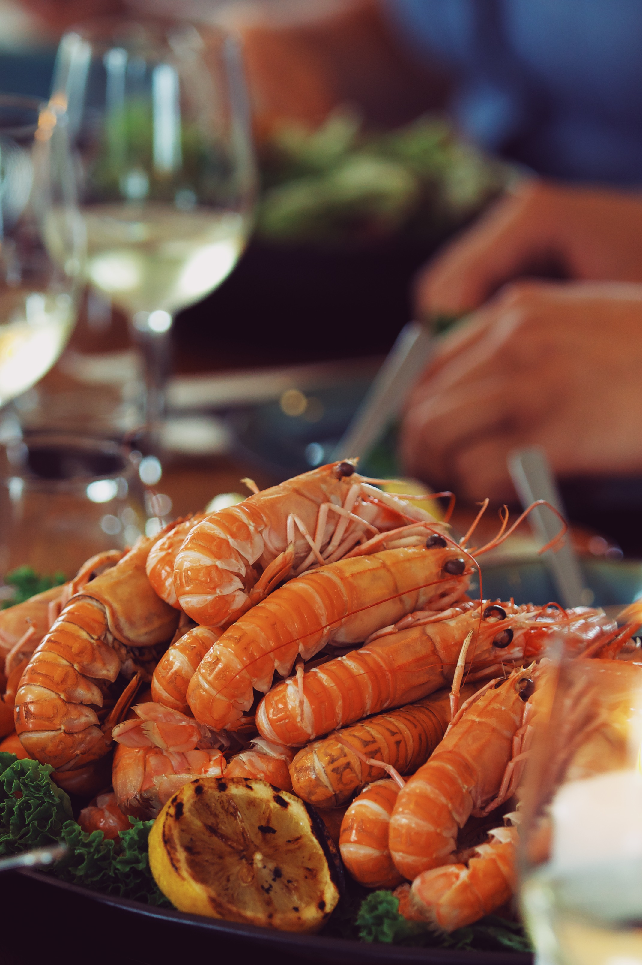 Vesterø Havn jomfruhummere