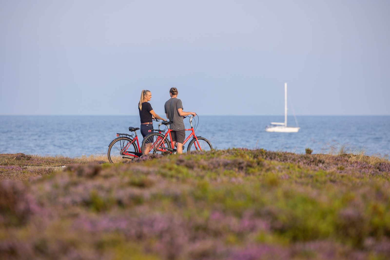 Cykelferie på Læsø - nordkysten