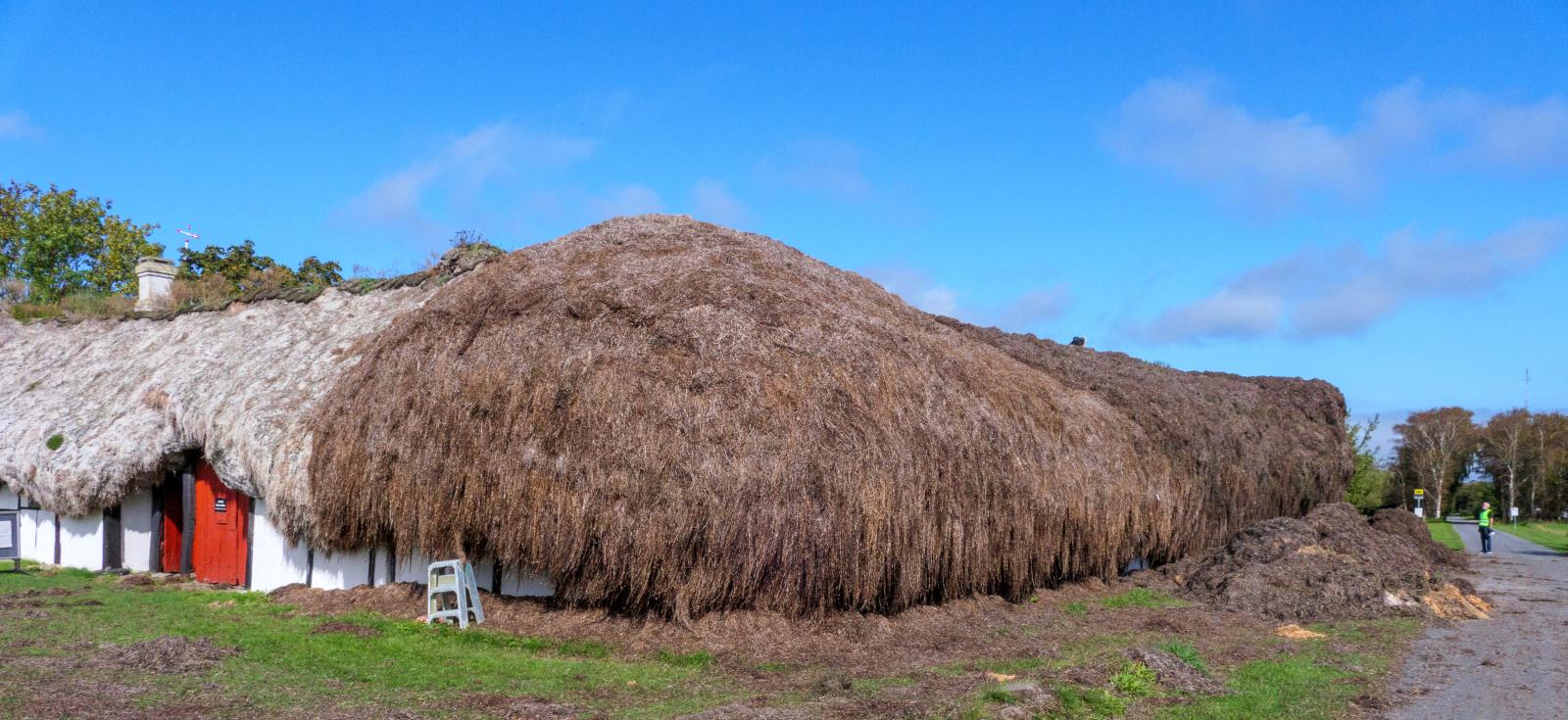 Museumsgården på Læsø har fået nyt tangtag i 2023
