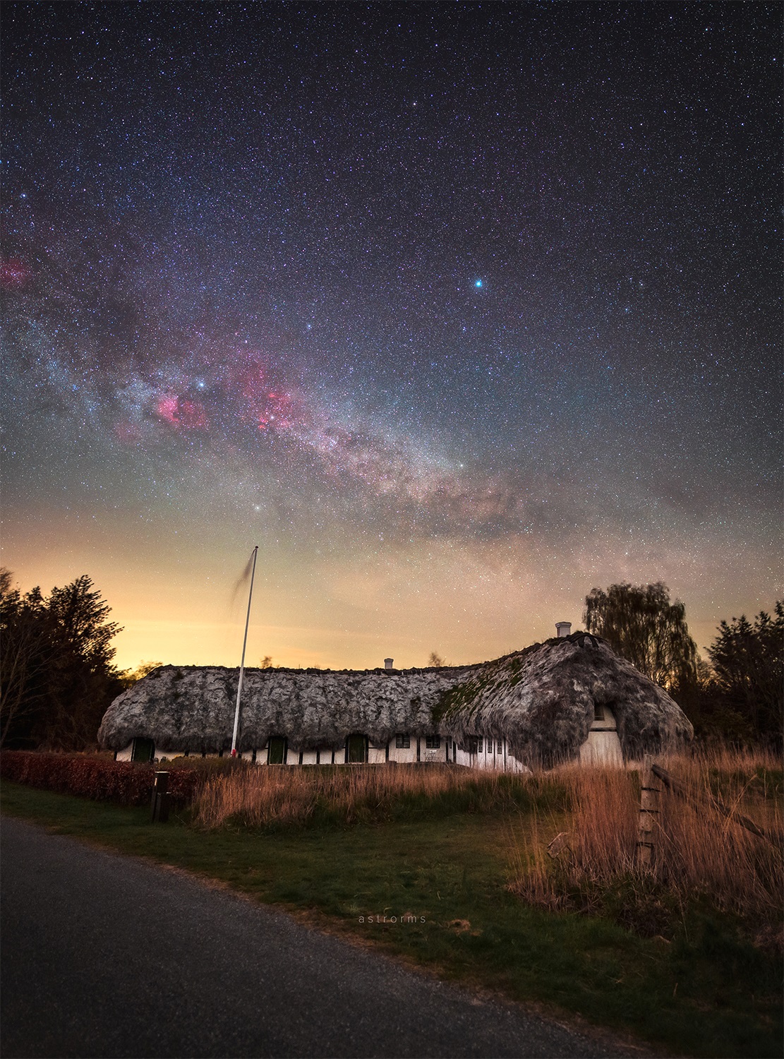 Lys i Mørket - Skoven