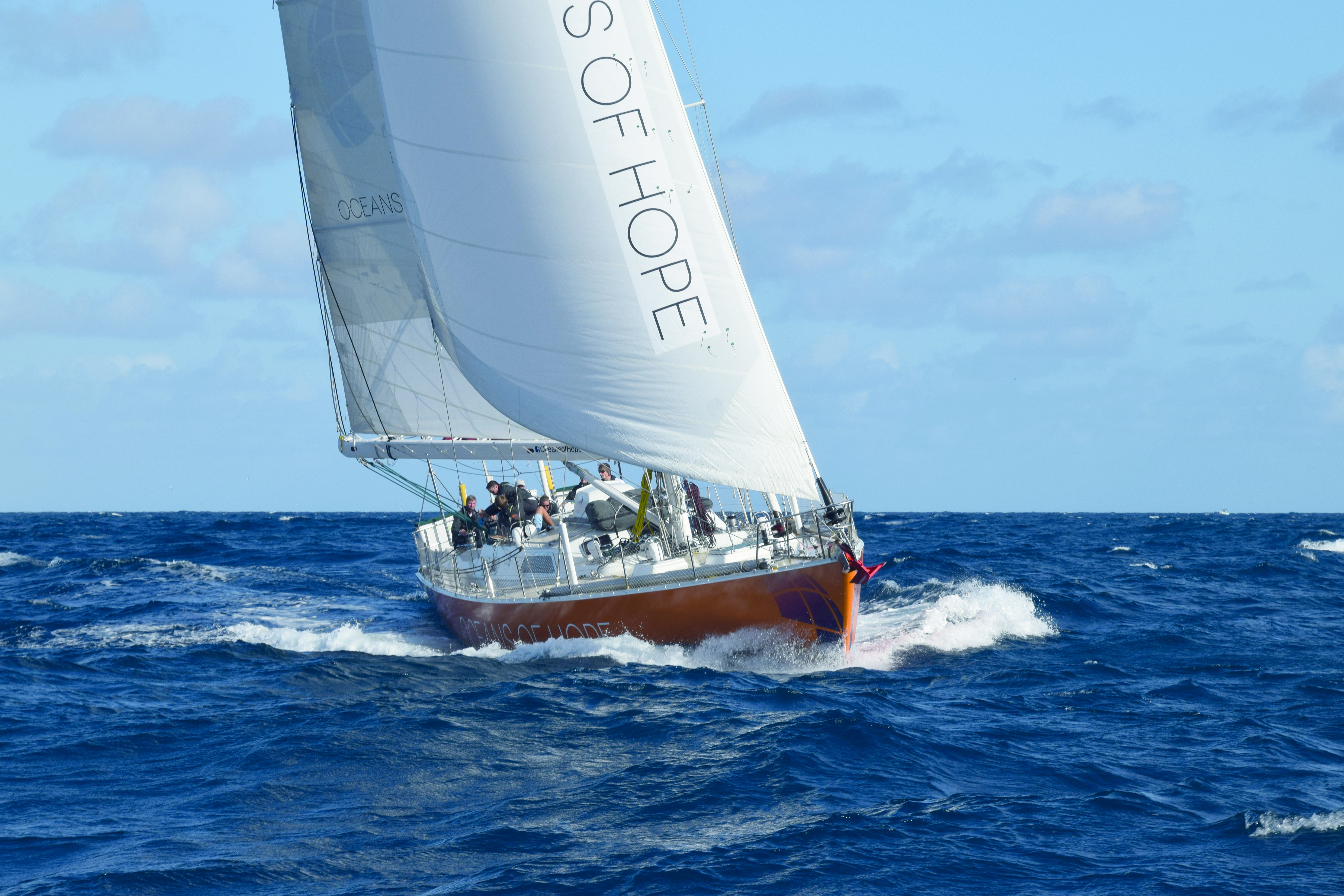 Oceans of Hope til søs Læsø planter ålegræs