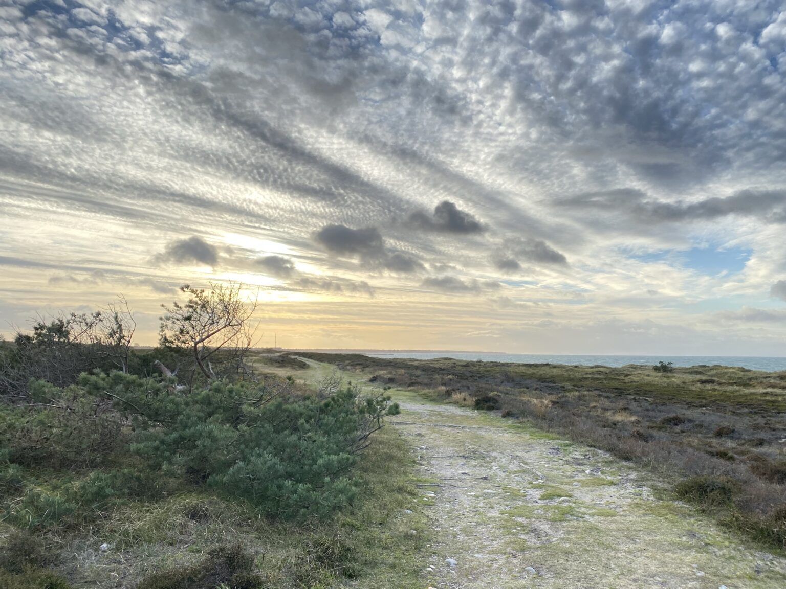 Danish Hiking på Læsø