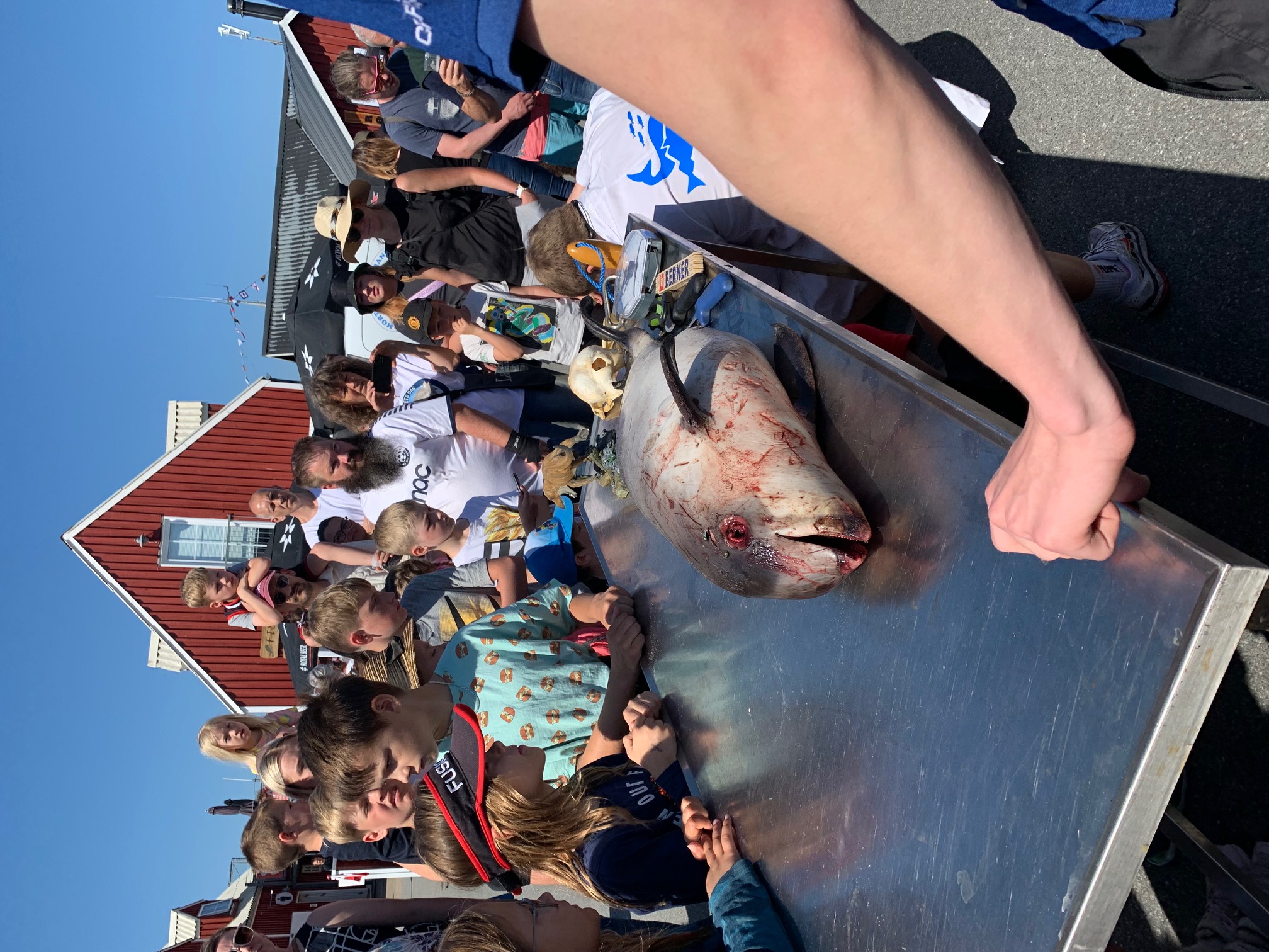 Havets Dag på Læsø Nordsøens Oceanarium 2