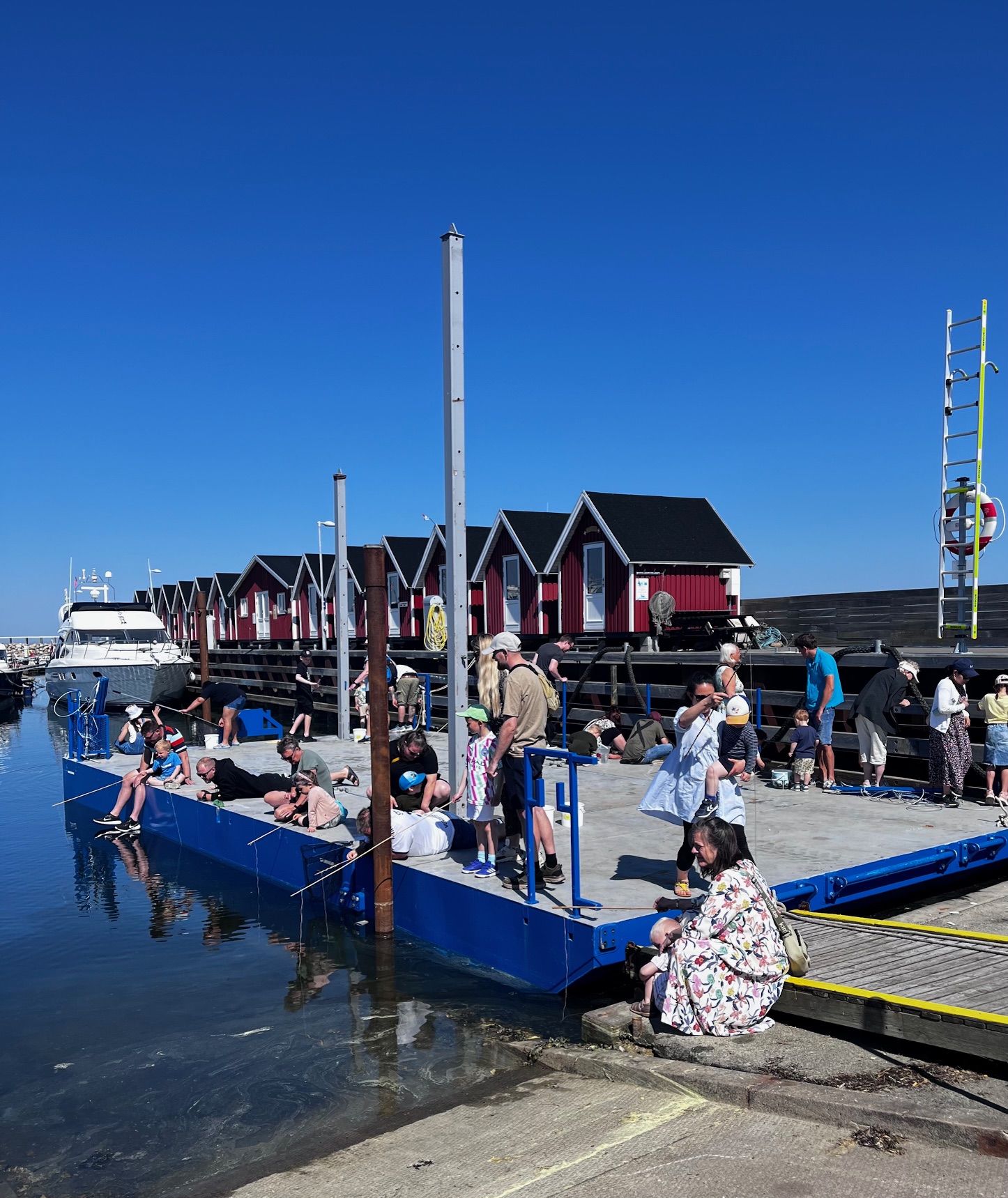 Krabbefangst Havets Dag Læsø 2025