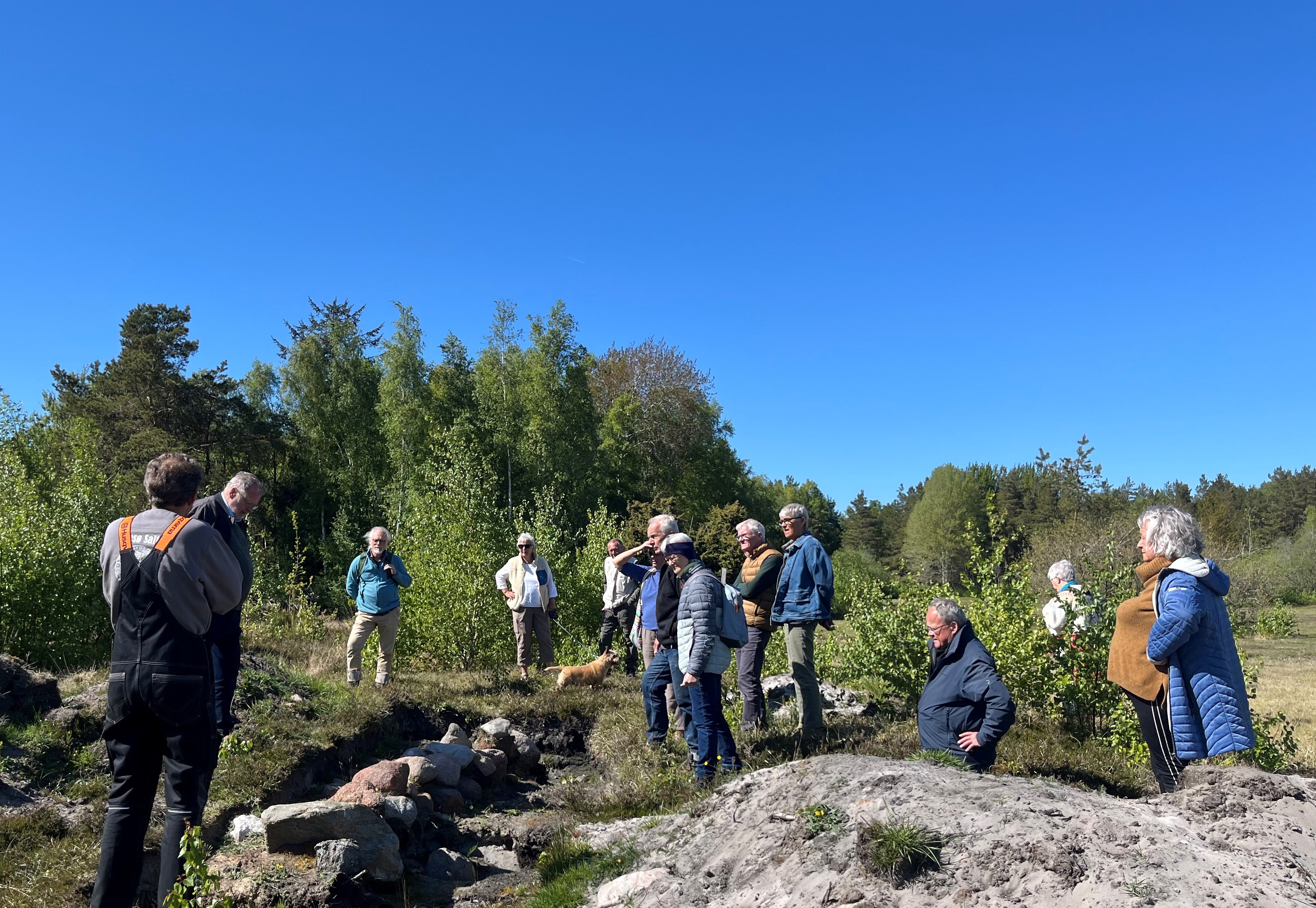 Udgravning saltsydetomt, Jens Morten Hansen 2024