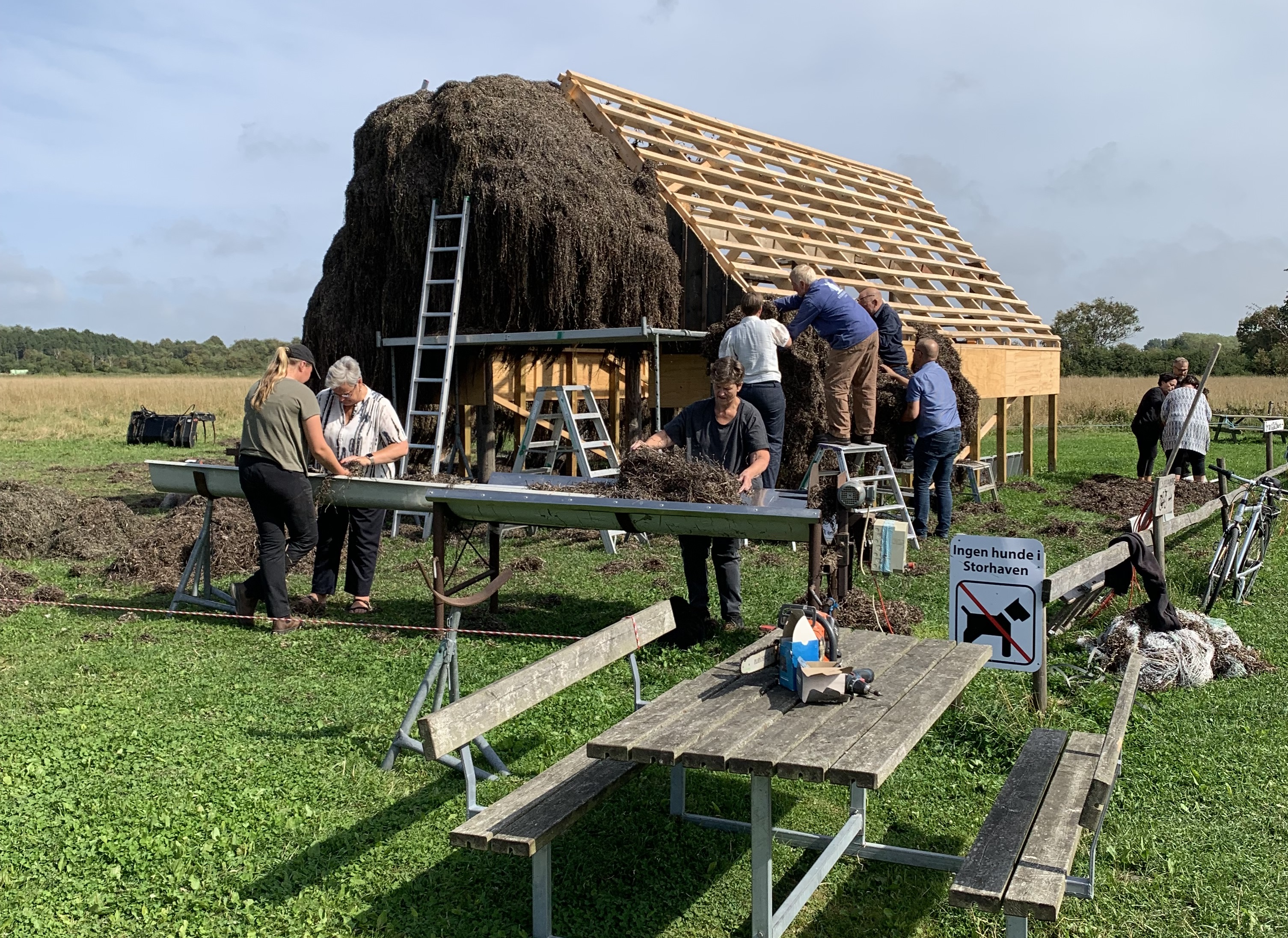 Tangworkshop Storhaven 2025 - tangtage