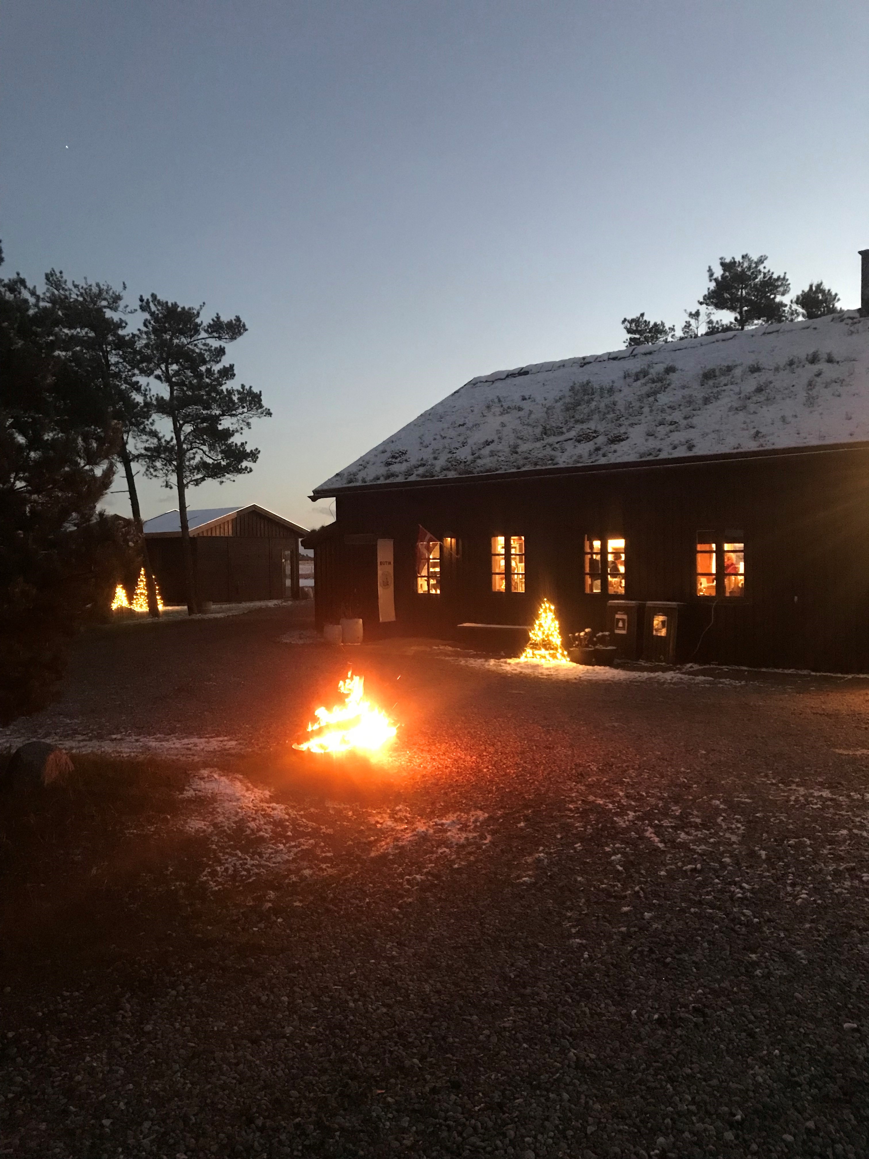 Læsø Salt, LIM, Lys i Mørket 2025