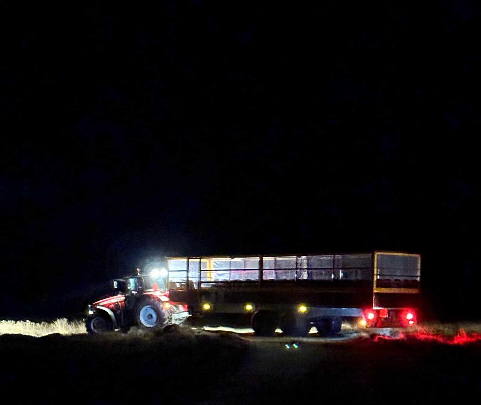 Rønnerbussen Lys i Mørket 2025 - Sonja Linnet Hangaard