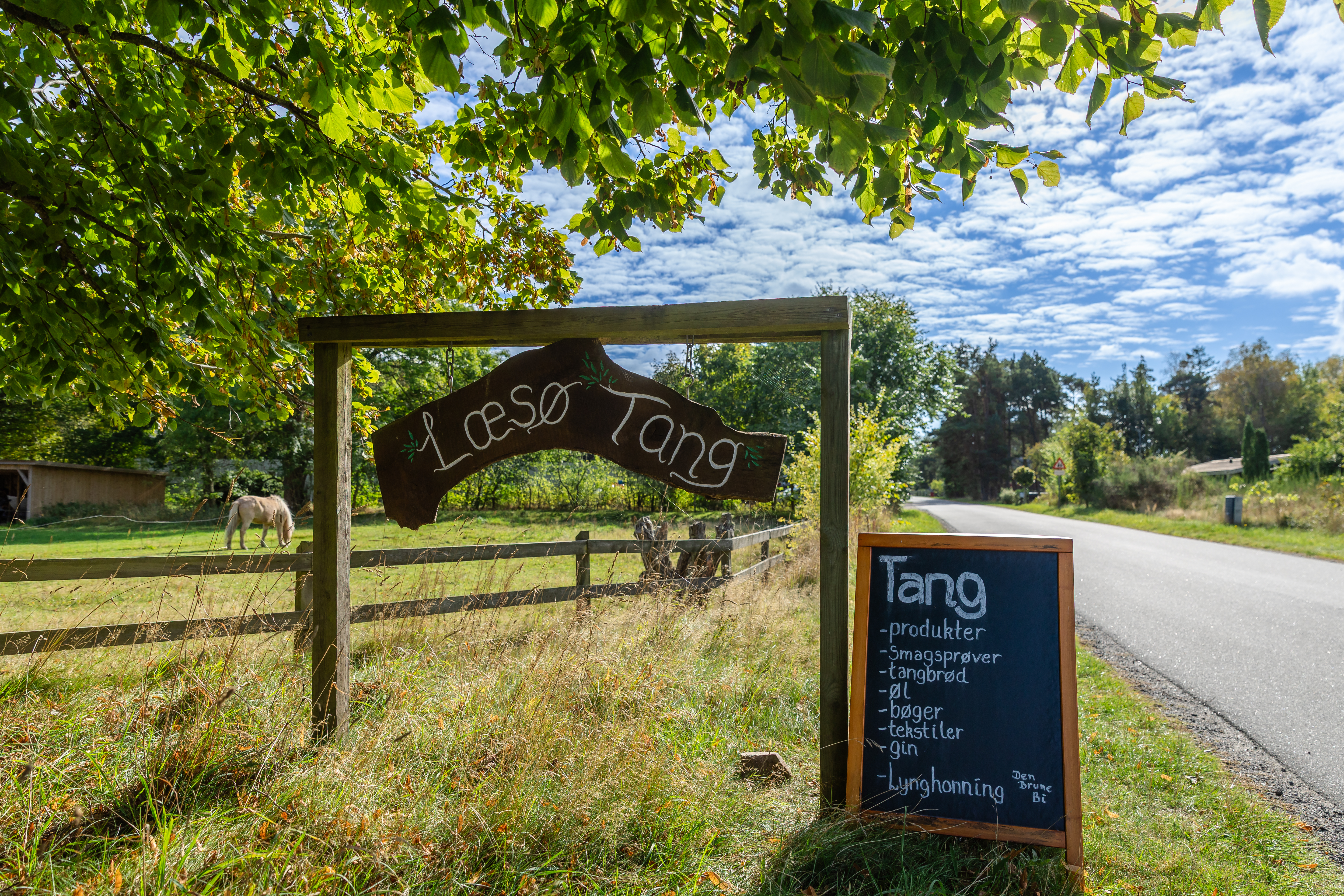 Læsø Tang